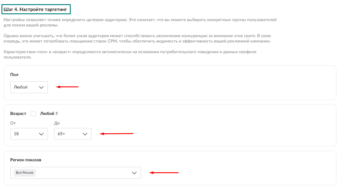 Шаг №4 с выбором критериев таргета при создании баннерной рекламной кампании